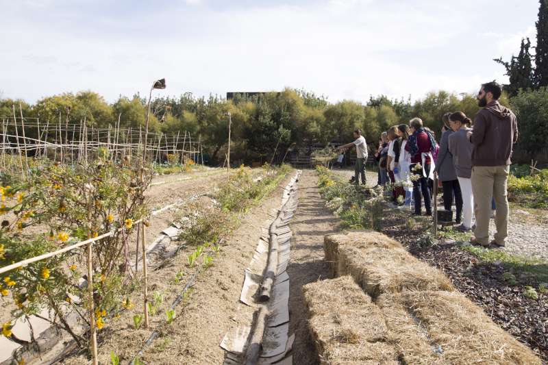 sesae Ημέρα Ασφάλισης 2017